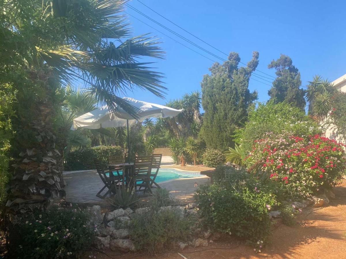 פרוטאראס Konnos Villa מראה חיצוני תמונה