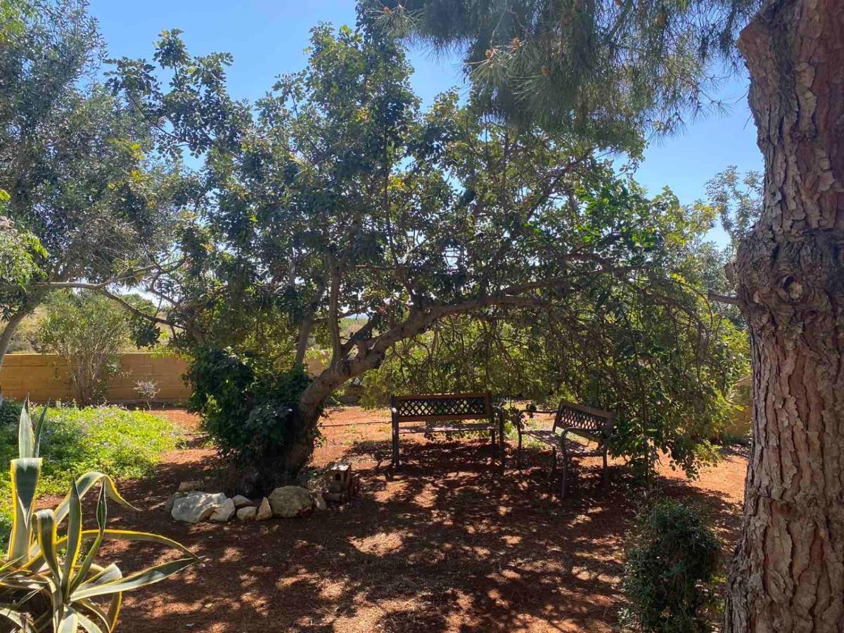 פרוטאראס Konnos Villa מראה חיצוני תמונה