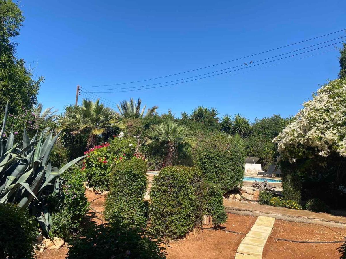 פרוטאראס Konnos Villa מראה חיצוני תמונה